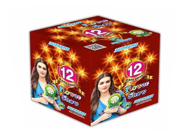 SK Pyro Park 12 SHORTS BAARA AWAAZ